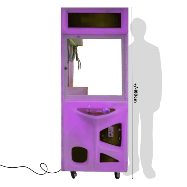 Festivities Festivities