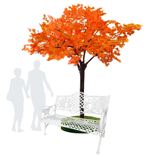 Maple Tree ( Mid Autumn, Entrance, Walkway Decoration, Furniture, Photo Op )