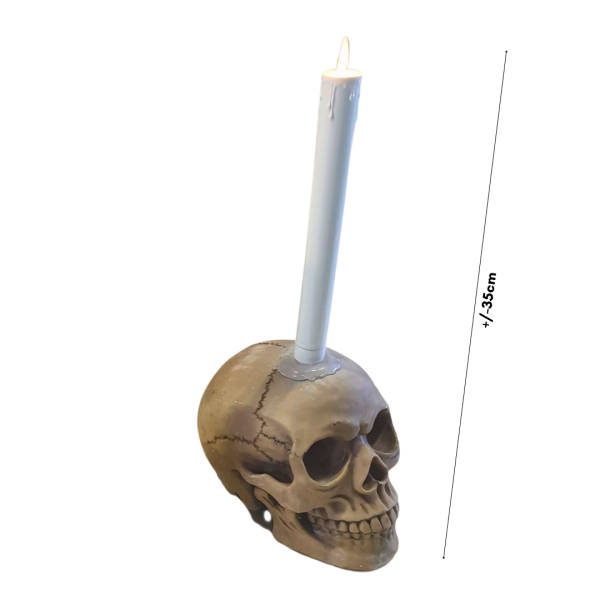 Skull with LED Candle ( Halloween / horror / Scary )