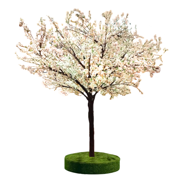 Festivities Festivities