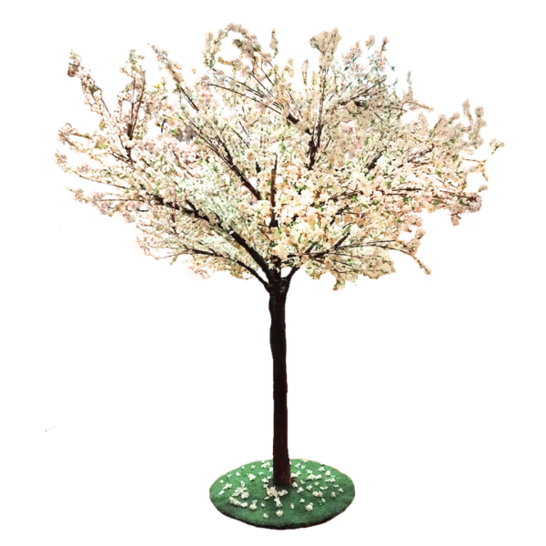 Festivities Festivities