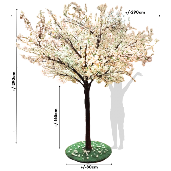 Festivities Festivities