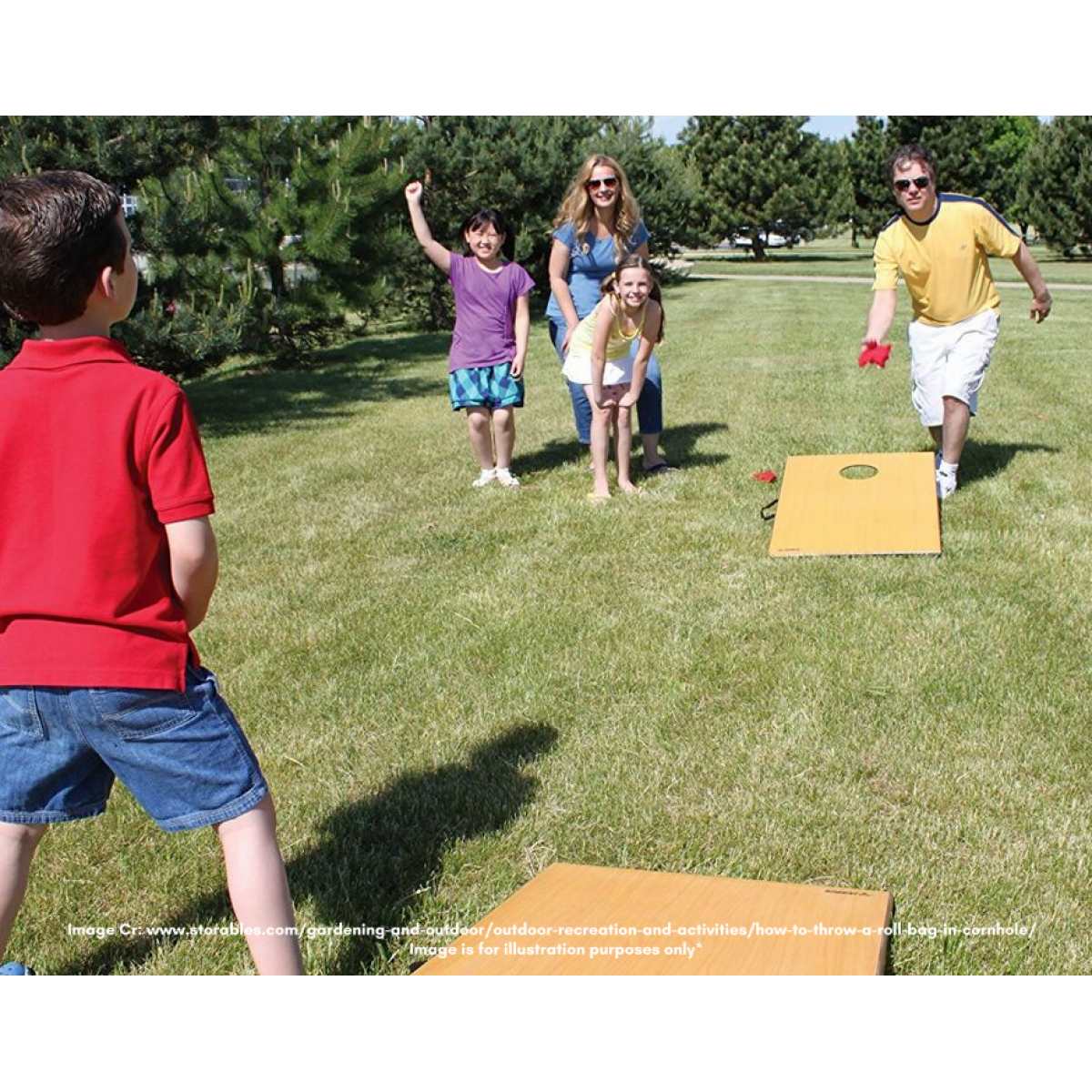 Giant Bean Bag Toss ( Huge / Game / Large / Sports / Party ...