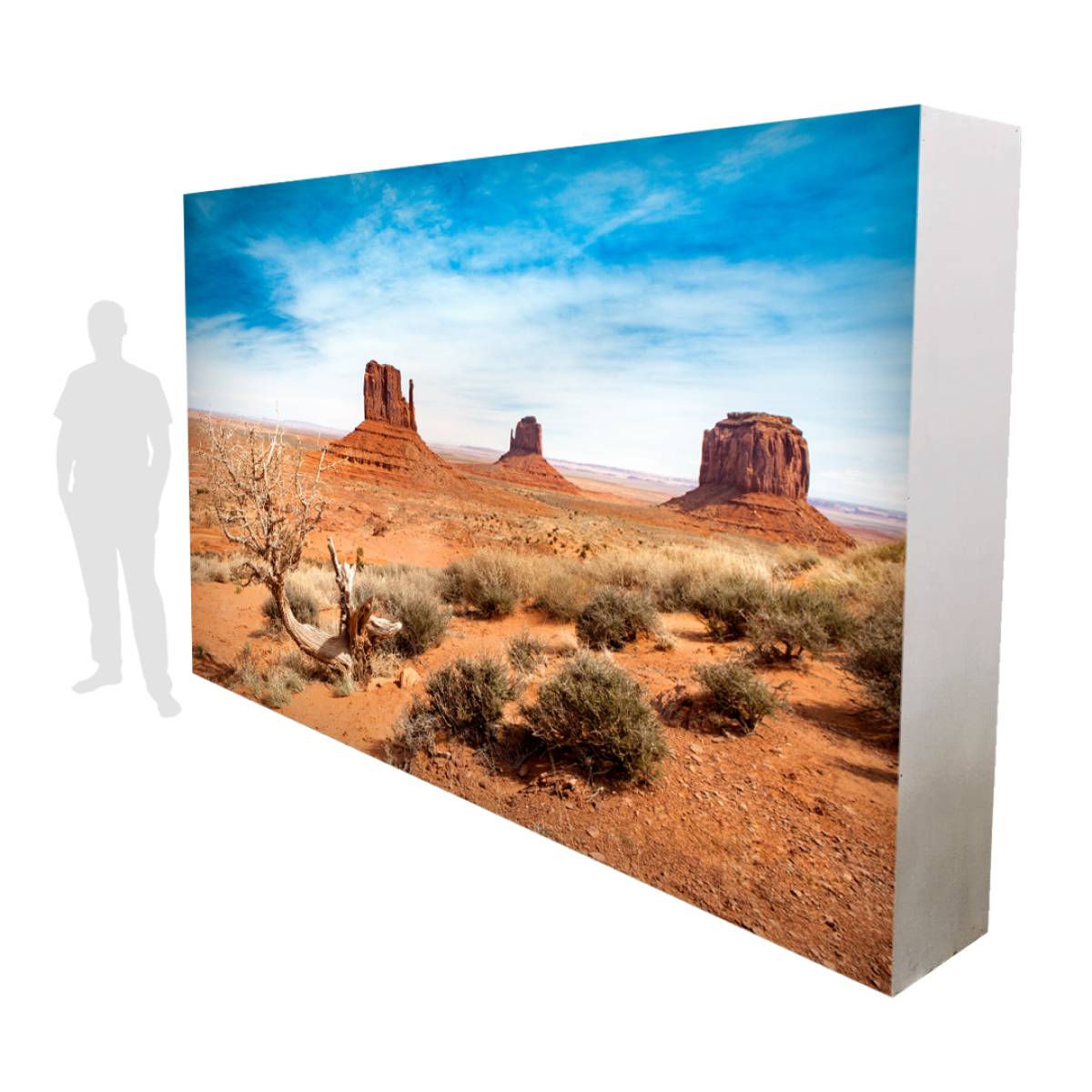 Self-standing Outback Desert Backdrop with Kangaroo and Bamboo Barriers ...