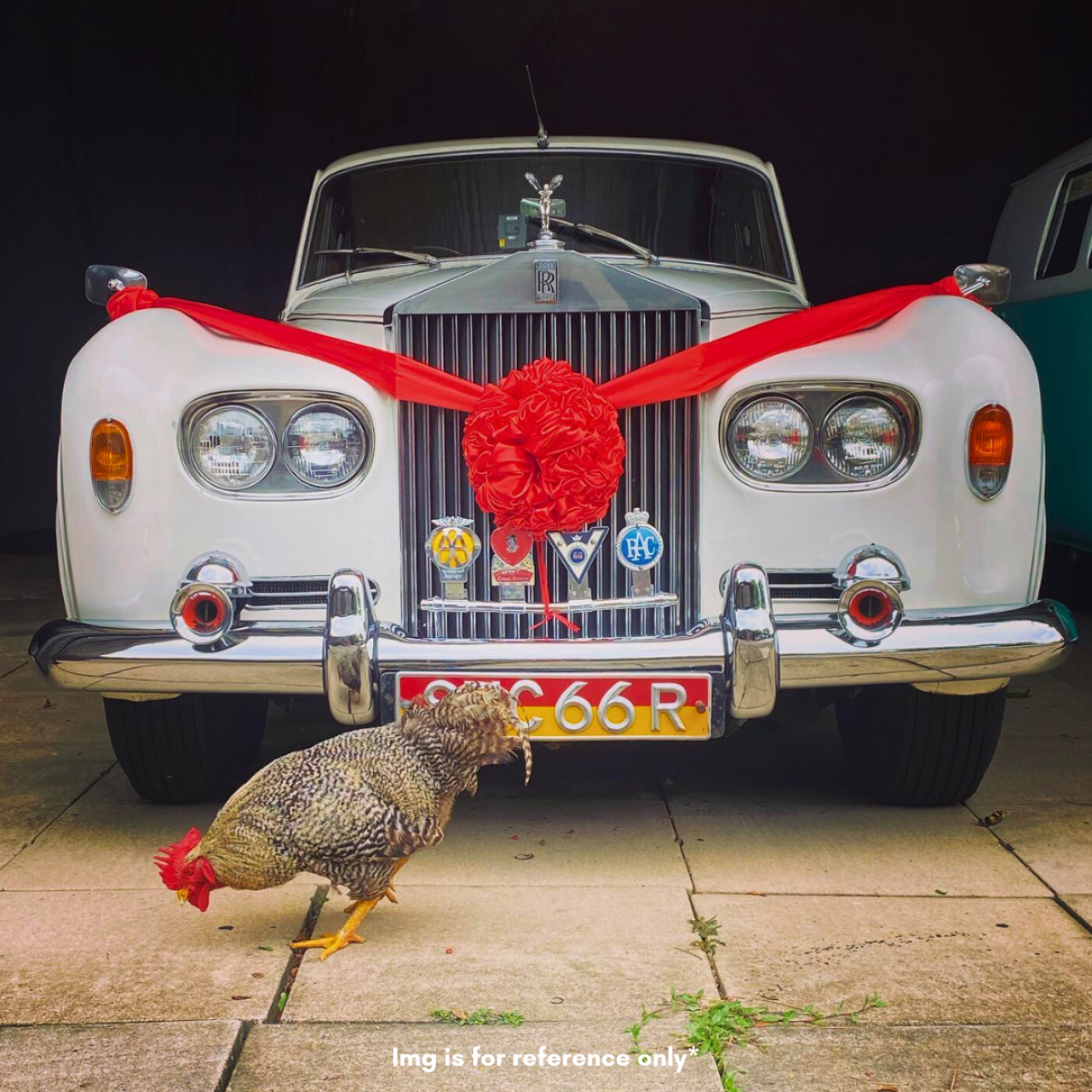 1963 Rolls Royce Cloud lll SG's Largest Classic Car Hire and Vintage